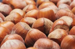 Prueba rápida alérgenos