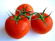 tomaten 1