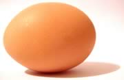 egg-yolk-white-powder 4